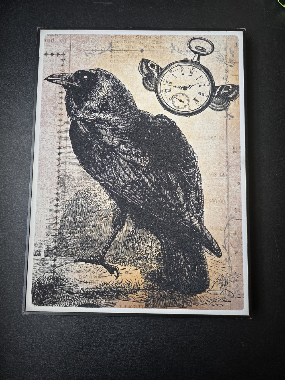Black Raven Art Print